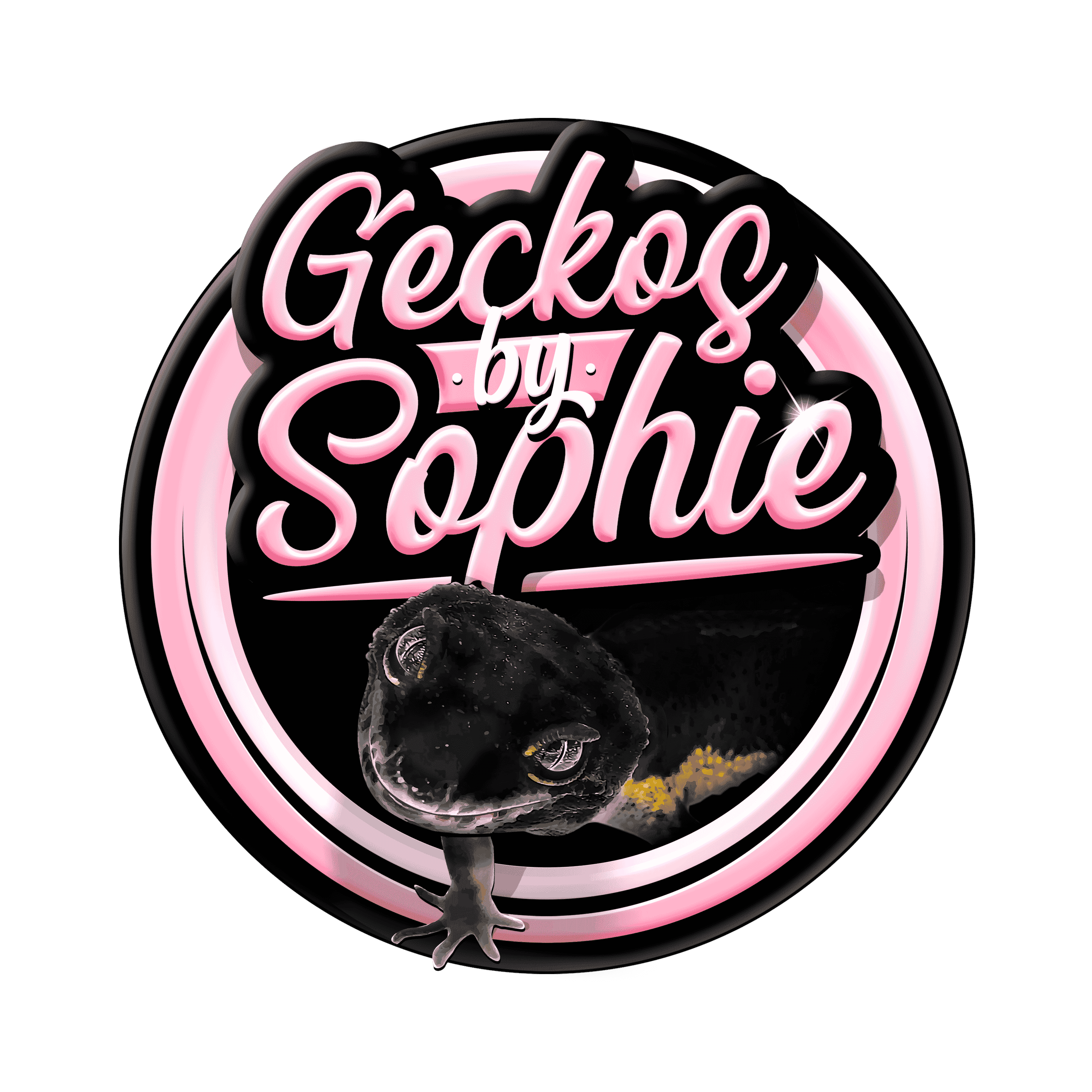 GeckosbySophie