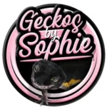 Geckos by Sophie